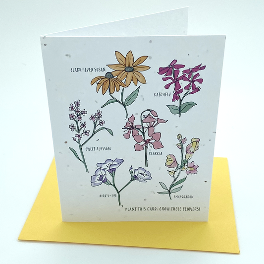 Wildflower seed card - Wildflowers